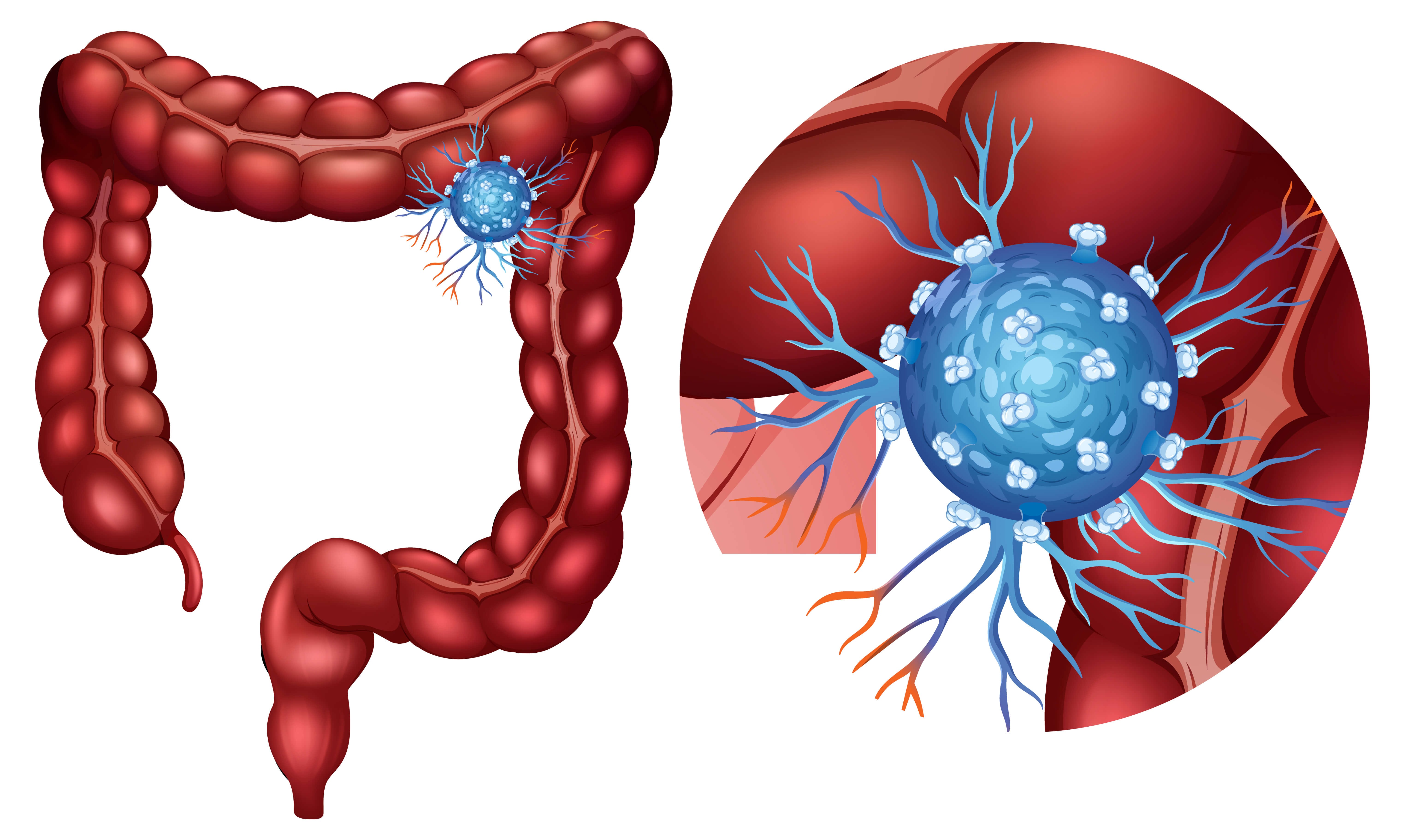 microbioma intestinal na saúde da pele e cabelo